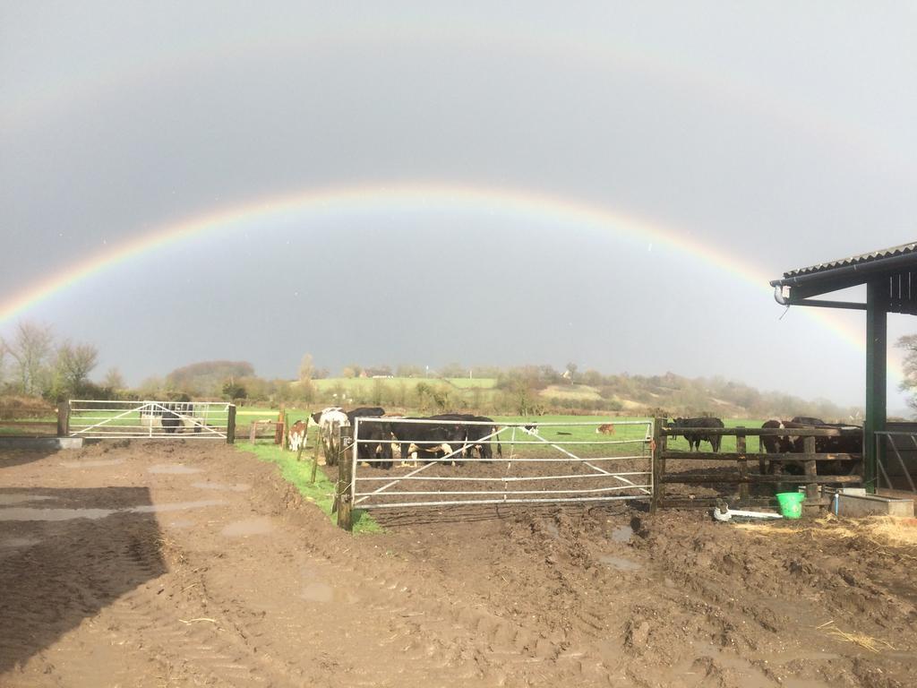 Rew Farm Country & Equestrian Accommodation - Sunrise Lodge Melksham Exterior foto